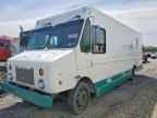 2009 Workhorse W42