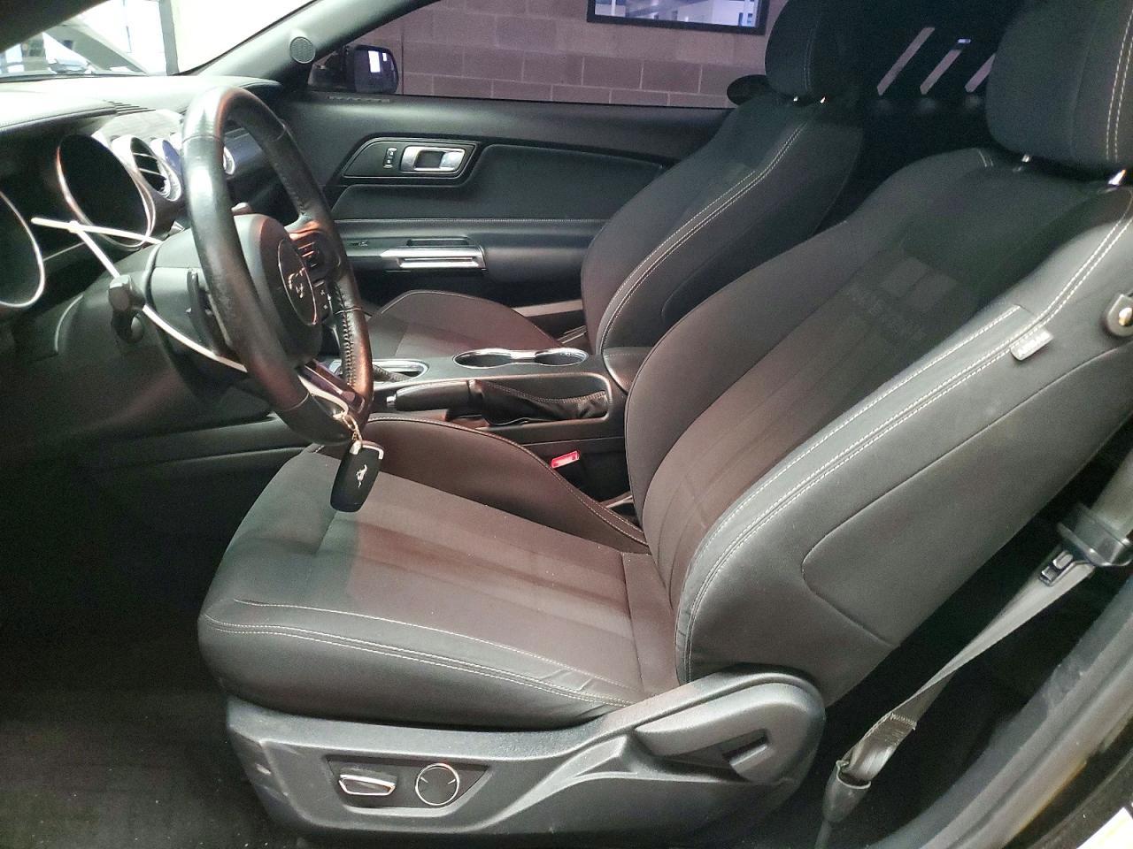 2019 FORD MUSTANG