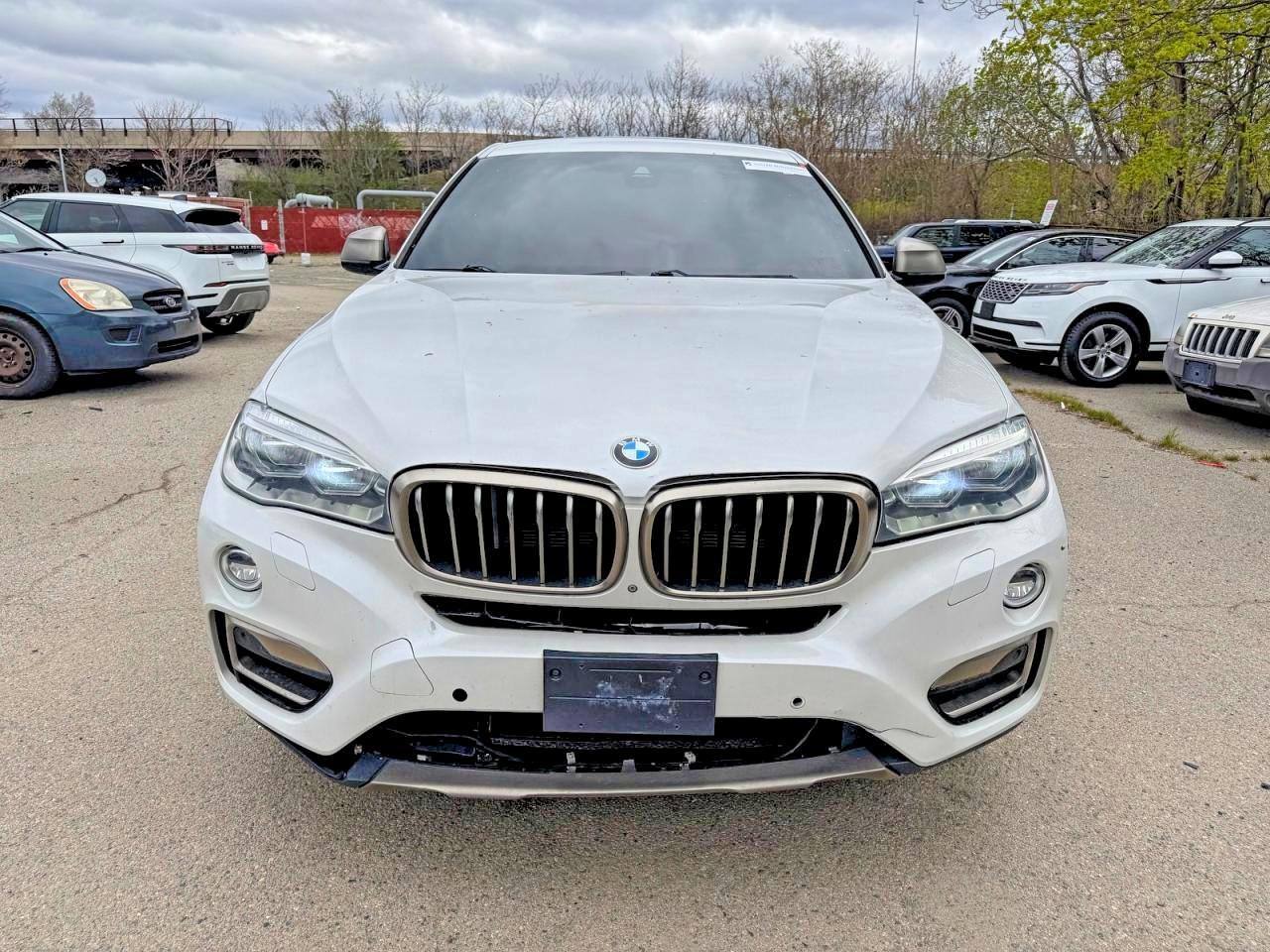 2017 BMW X6