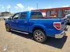 2010 FORD F-150 Lightning