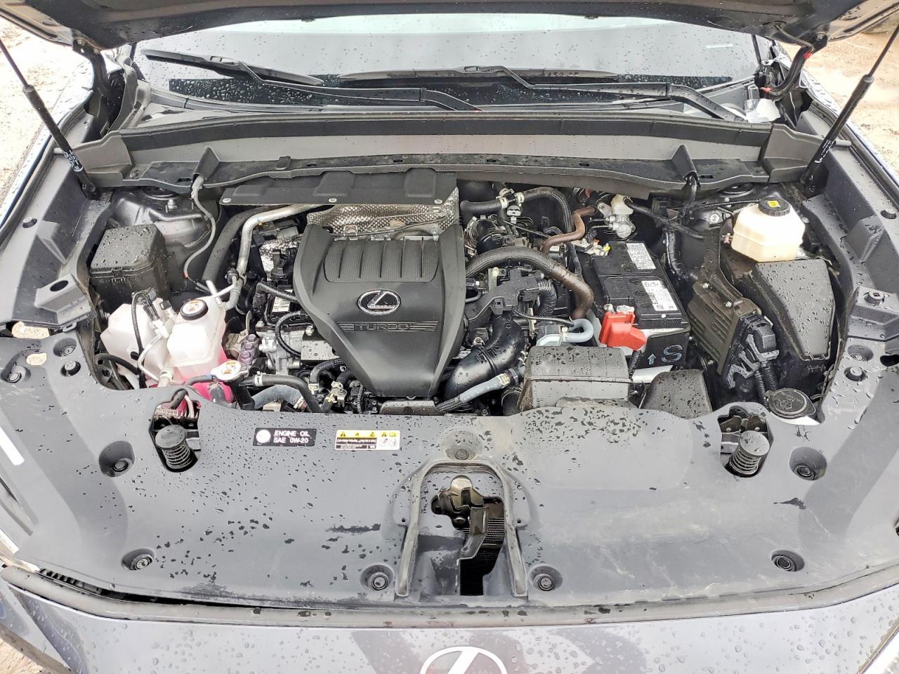 2025 LEXUS TX 350