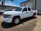 2010 DODGE Dakota