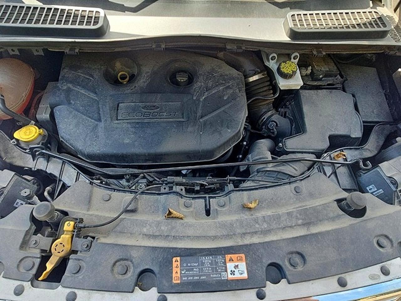 2019 FORD ESCAPE