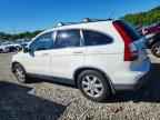 2007 HONDA CR-V