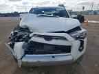 2024 TOYOTA 4Runner