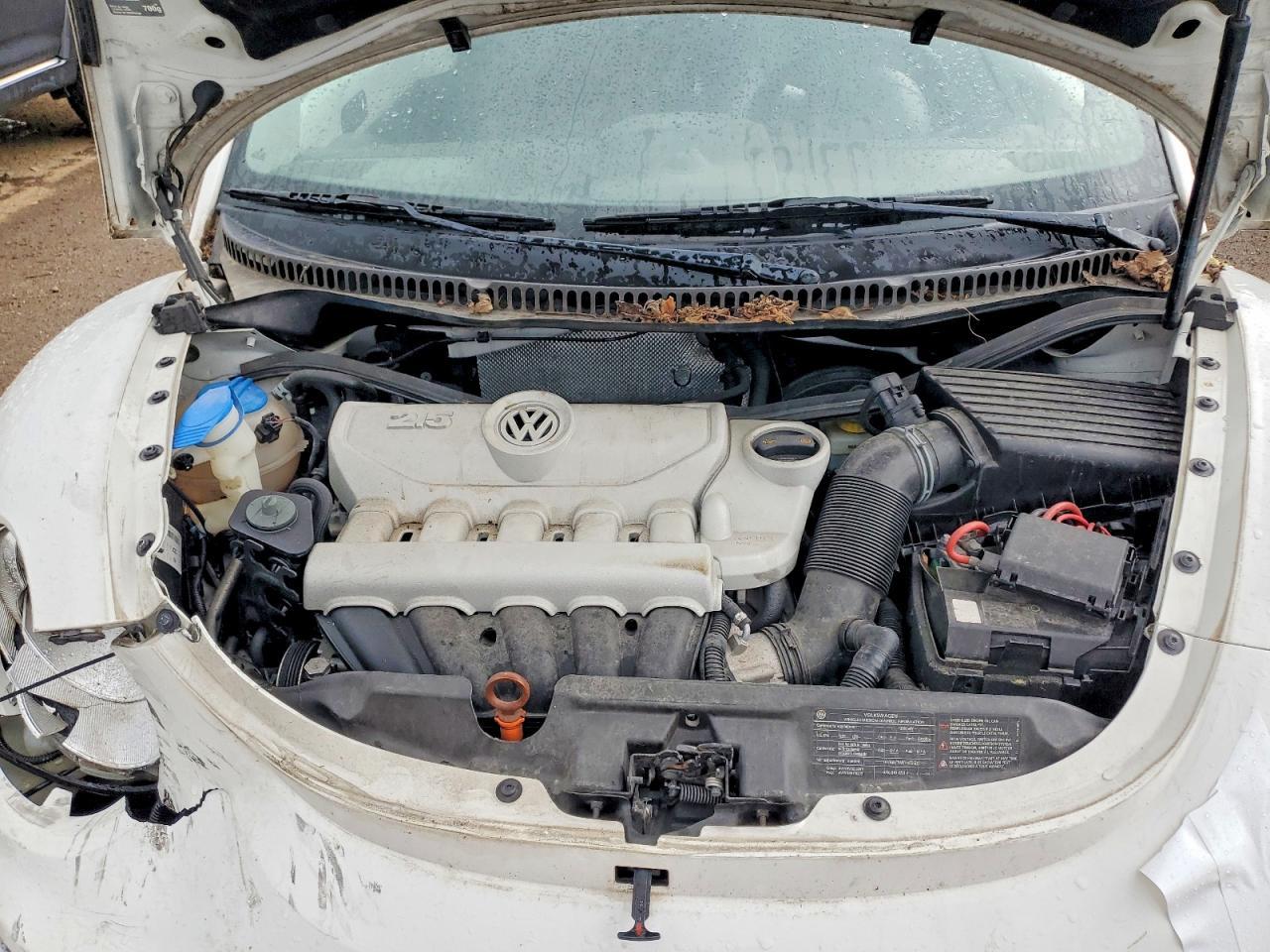 2010 VOLKSWAGEN Beetle
