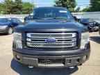 2013 FORD F-150 Lightning