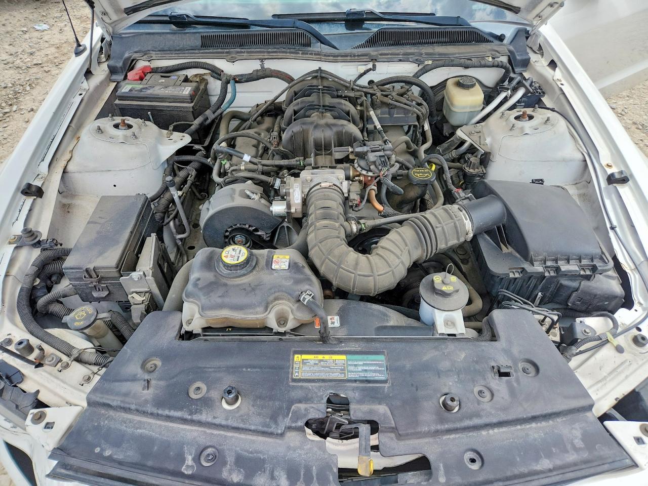 2005 FORD MUSTANG