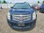 2010 CADILLAC SRX