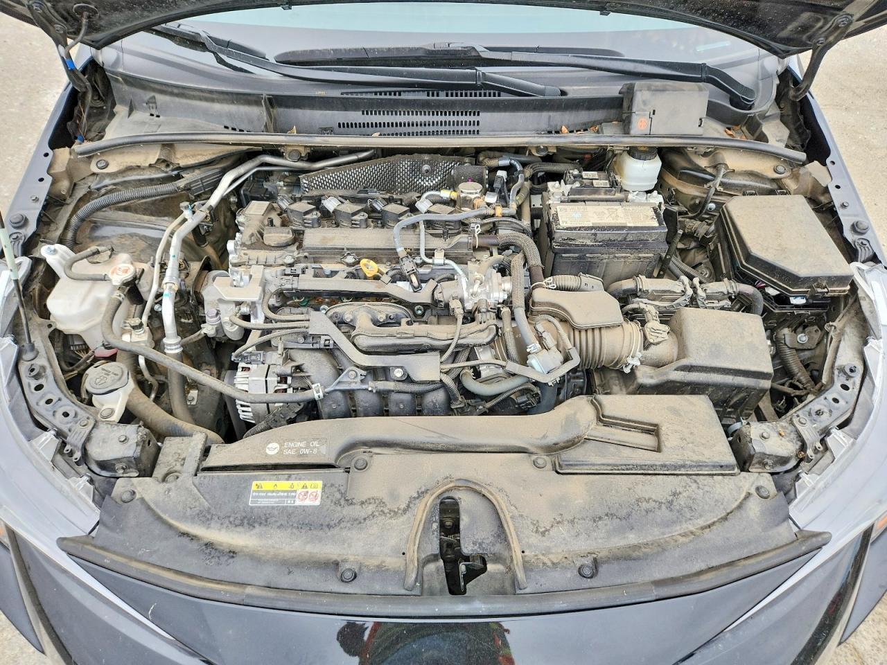2025 TOYOTA COROLLA