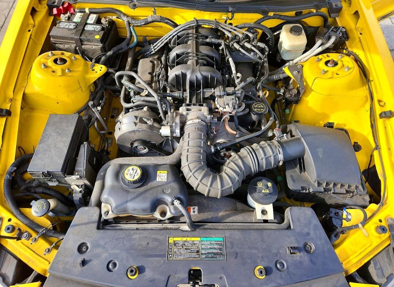 2005 FORD MUSTANG
