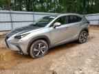 2021 LEXUS NX 300