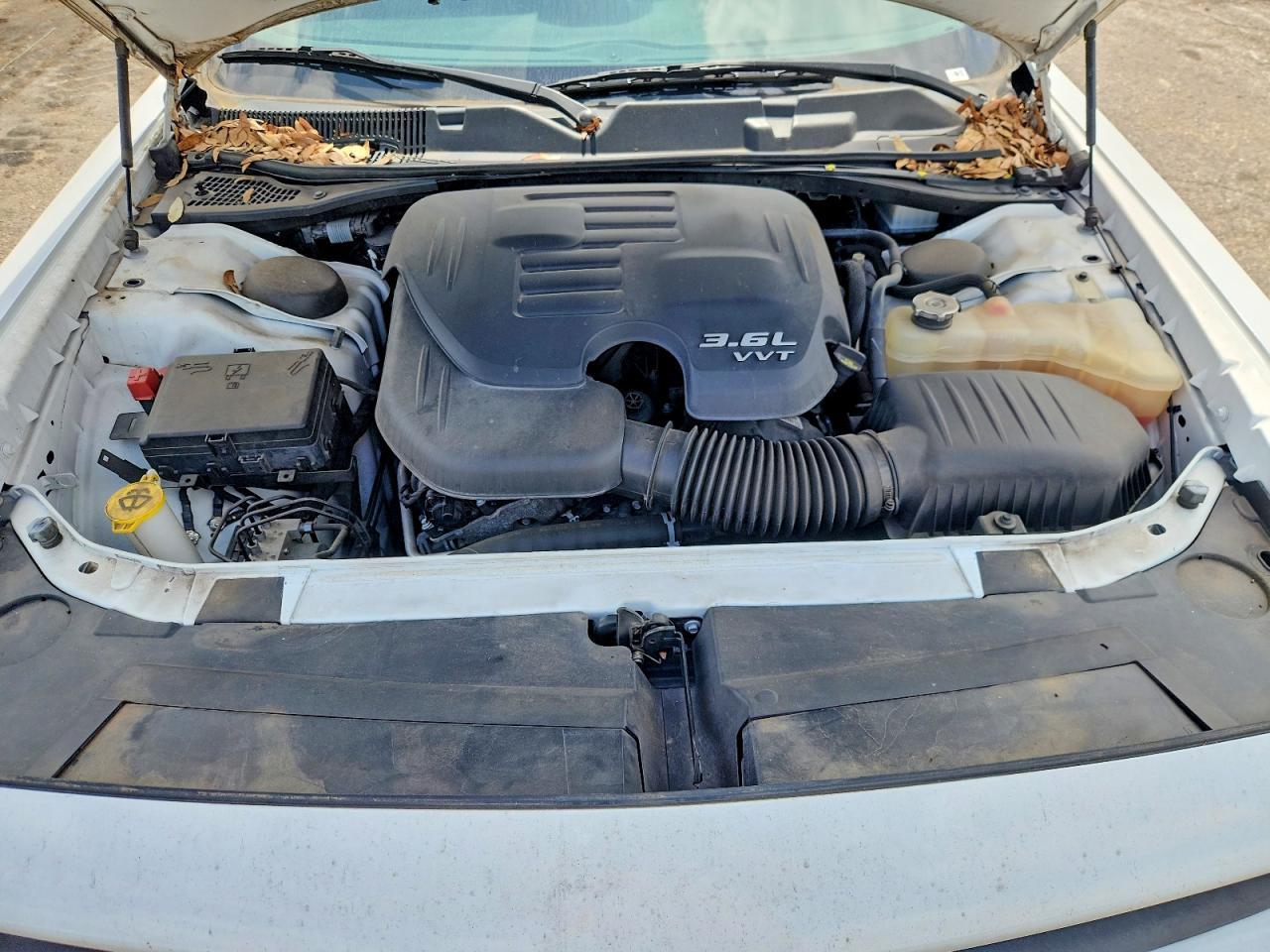 2019 DODGE Challenger