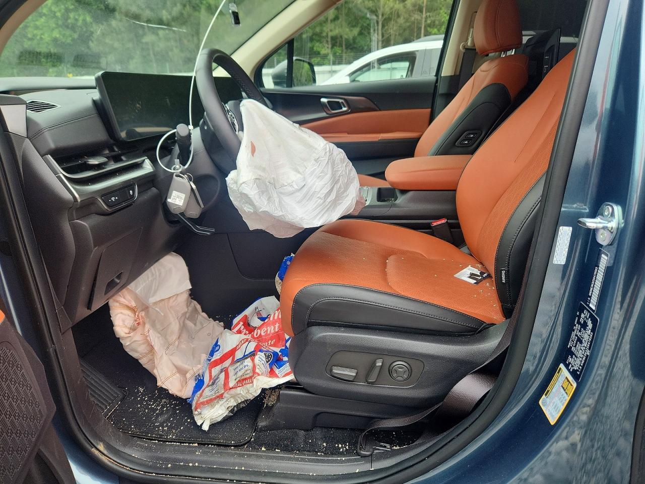 2025 KIA Carnival