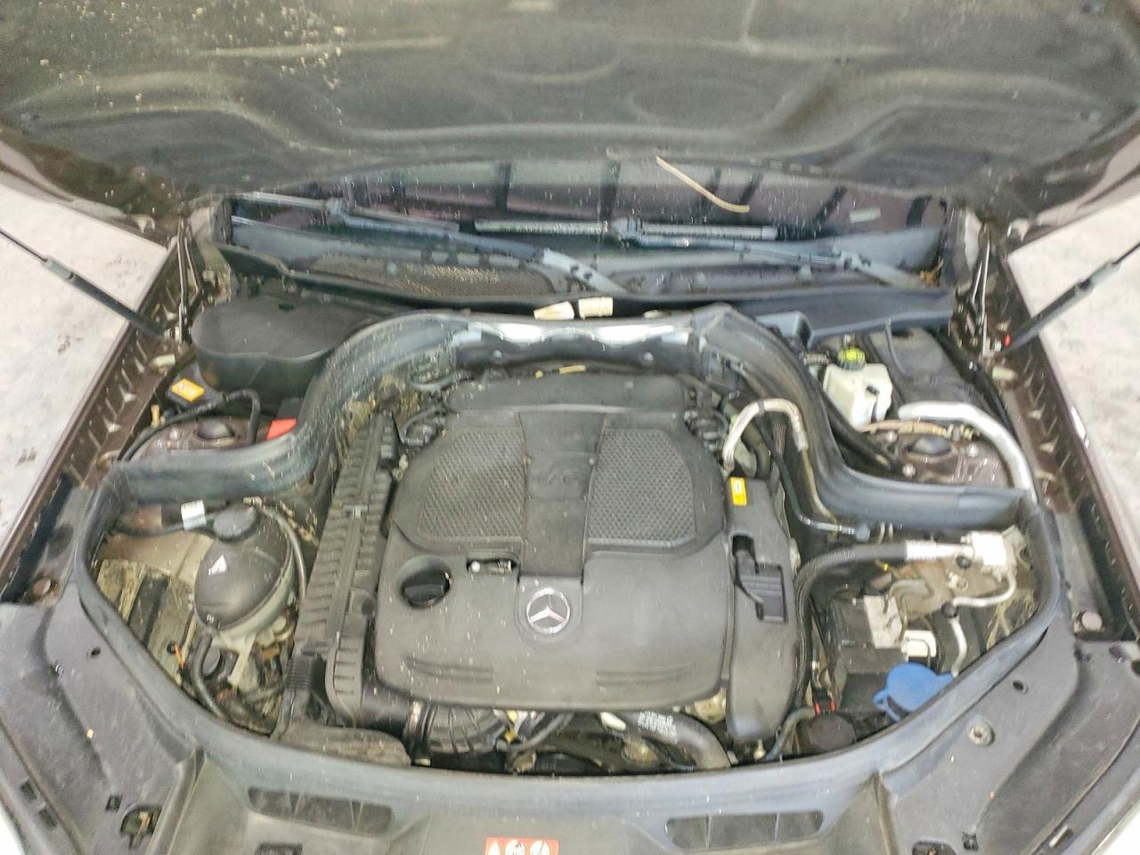 2013 Merz Glk