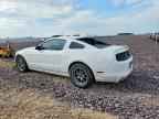 2013 FORD MUSTANG