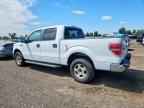 2011 FORD F-150 Lightning