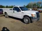 2013 FORD F-150 Lightning
