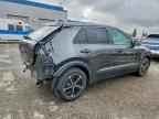 2024 KIA Niro