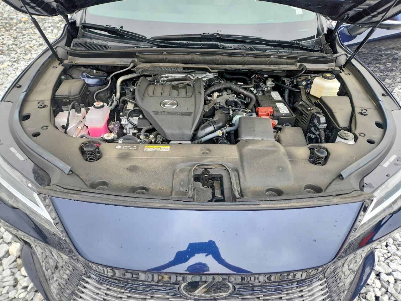 2025 LEXUS RX 350