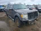 2010 FORD F-150 Lightning