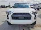 2024 TOYOTA 4Runner