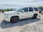 2009 CADILLAC ESCALADE