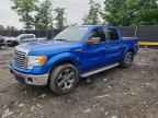2014 FORD F-150 Lightning