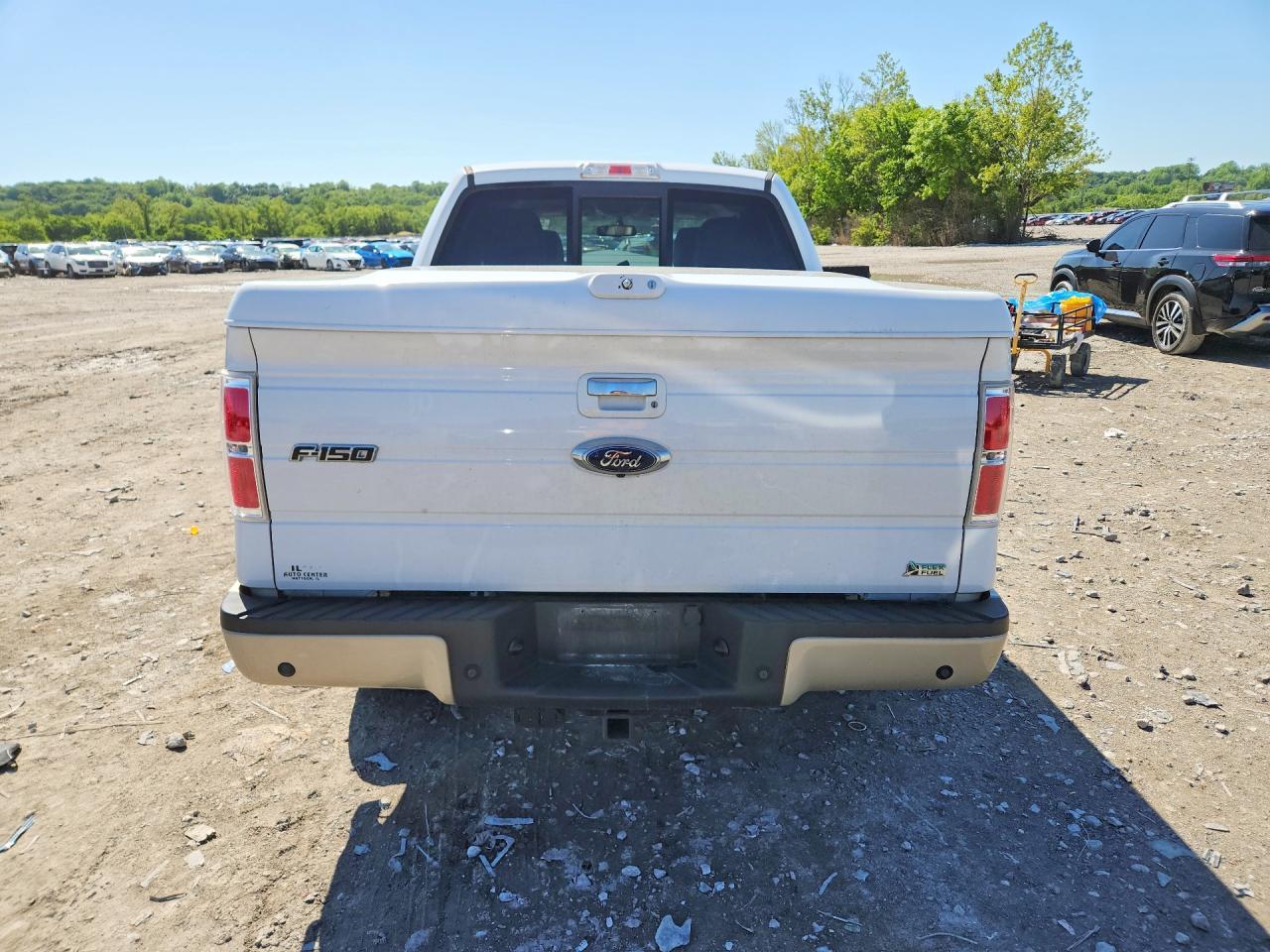 2010 FORD F-150 Lightning