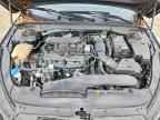 2024 KIA K5