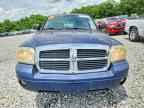 2006 DODGE Dakota