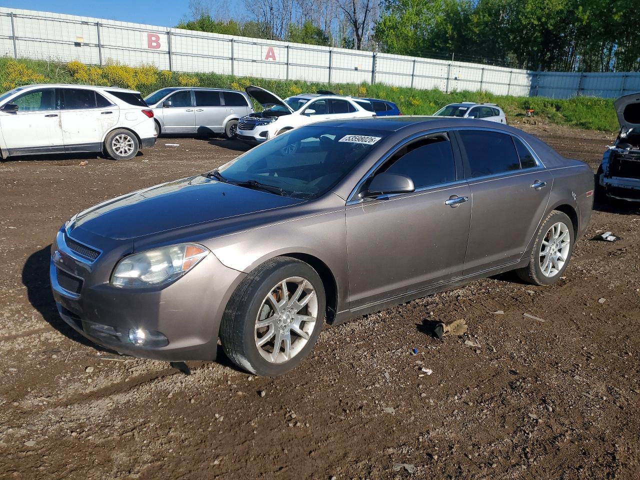2010 CHEVROLET MALIBU