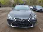 2025 LEXUS ES 300H