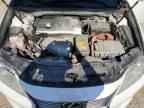 2013 LEXUS ES 300H