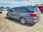 2019 Hond Odyssey