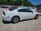2013 DODGE CHARGER