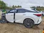2024 LEXUS RX 350