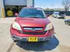2007 HONDA CR-V