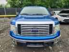 2014 FORD F-150 Lightning