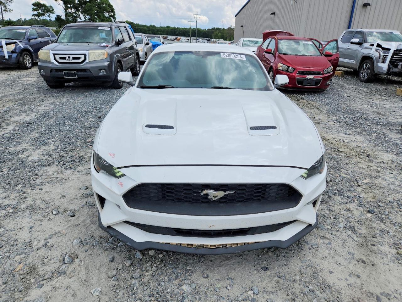 2019 FORD MUSTANG