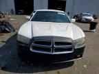 2014 DODGE CHARGER