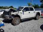 2010 FORD F-150 Lightning