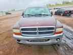 2004 DODGE Dakota