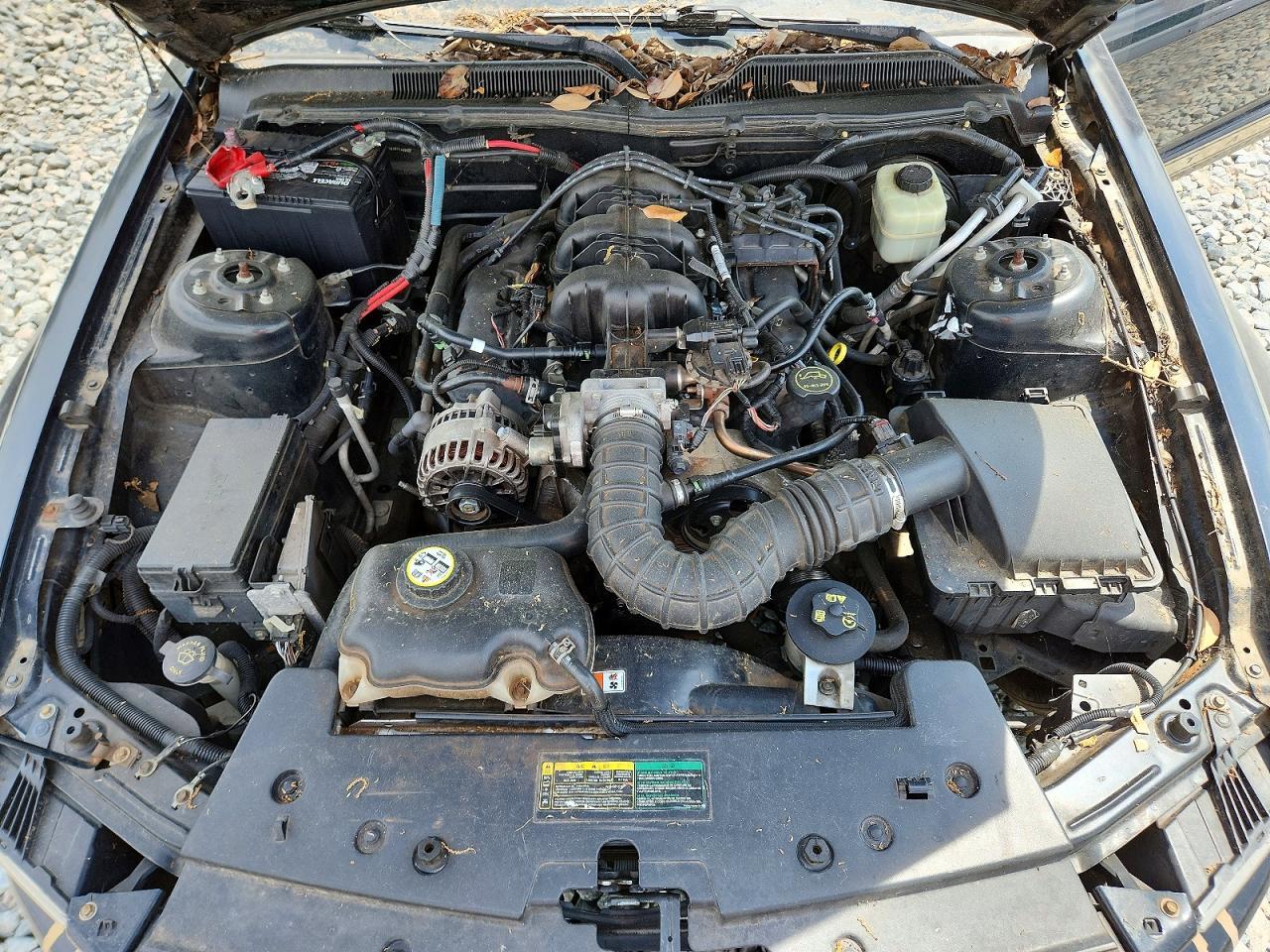 2007 FORD MUSTANG