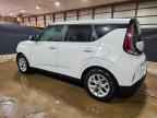 2025 KIA SOUL