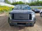 2012 FORD F-150 Lightning