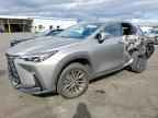 2023 LEXUS NX 250
