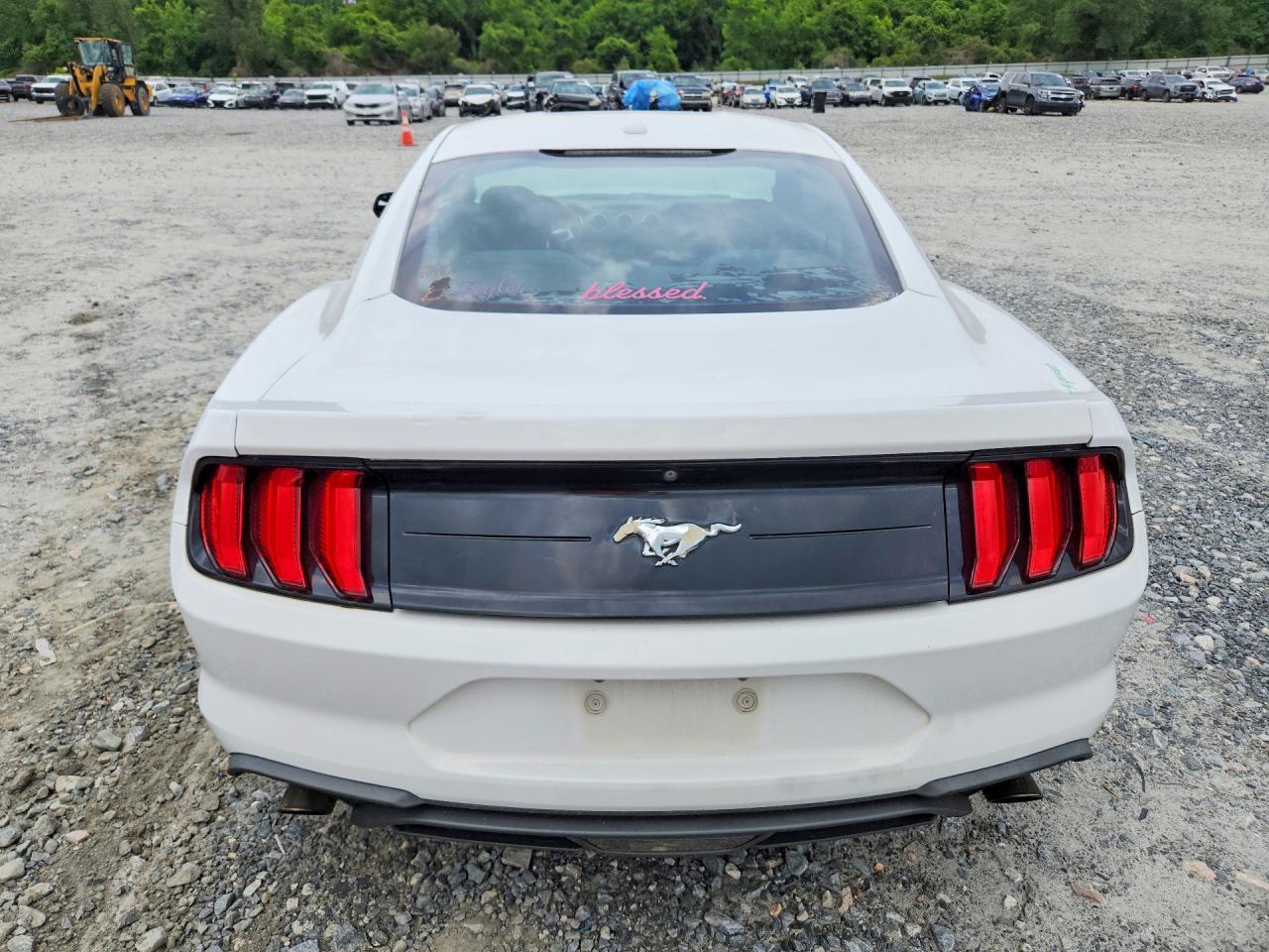 2019 FORD MUSTANG