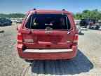 2010 FORD ESCAPE