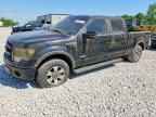 2013 FORD F-150 Lightning